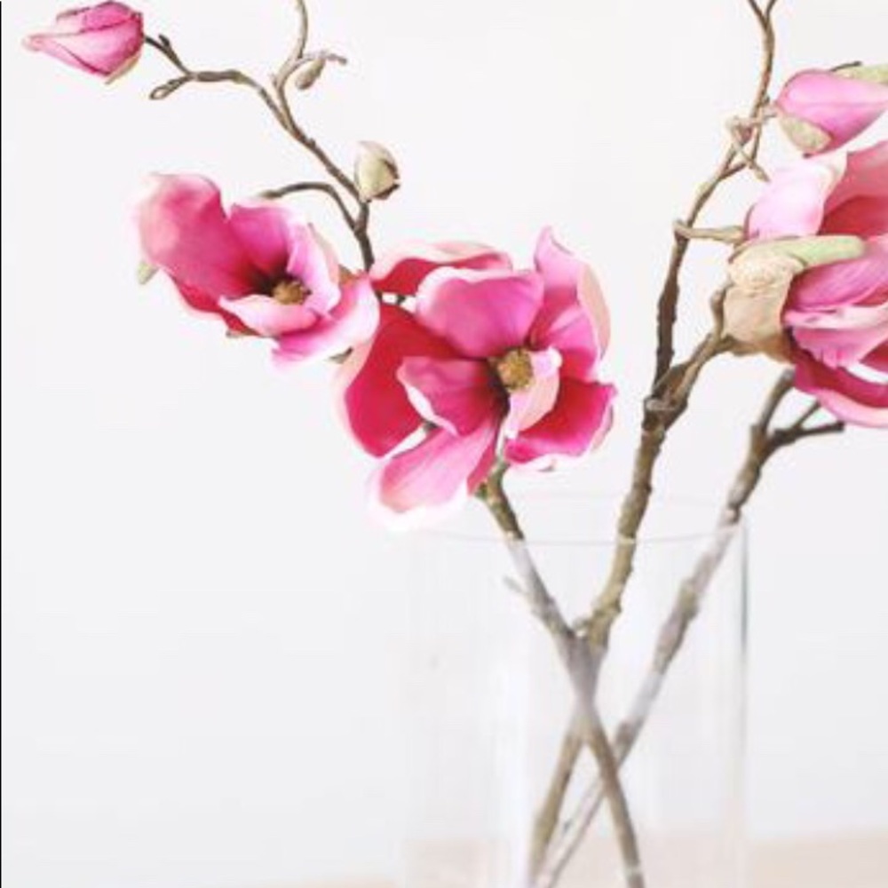 Meet your Posher, Kay & Family